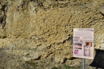 Formazione di Rhodoliti in Frazione Colma a Rosignano Monferrato